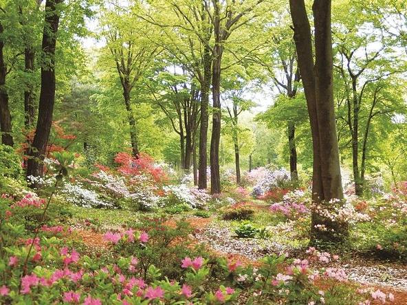 四季折々の花も観賞できます