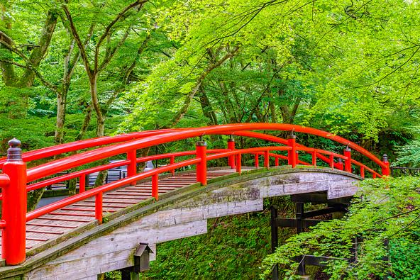 緑の木々と朱橋の対比が見事　（画像提供：gonbe / PIXTA）