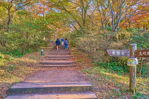 「ときめきデッキ」へ向かう道も気持ちいい♪（画像提供：Q2Photo / PIXTA）