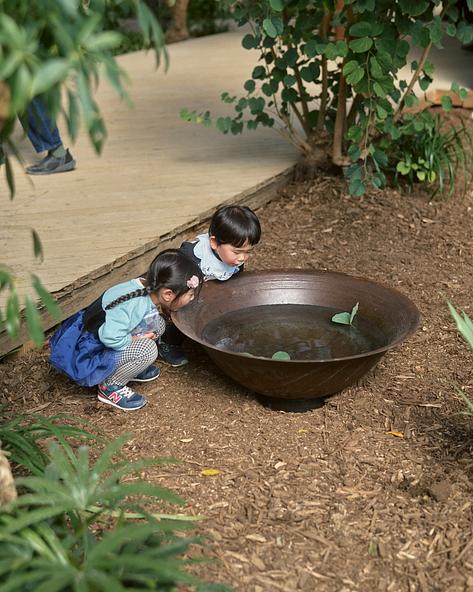 有用植物について、たくさんの発見がある「大多喜有用植物苑」