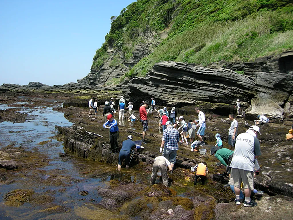 海と森に囲まれた「大房岬自然公園」では磯遊びが人気