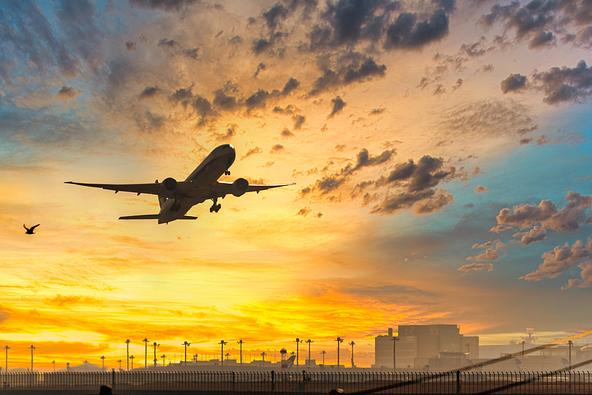 飛行機が真上を通り迫力満点の「城南島公園」は夜景スポットとしても人気（画像提供：ニングル / PIXTA）