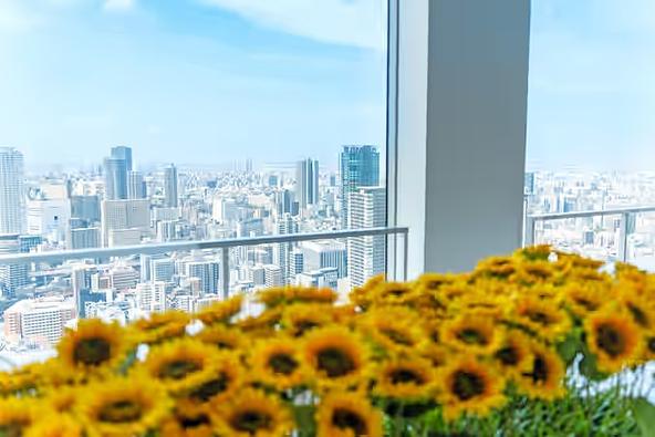 地上173m上空のひまわり畑を楽しもう！