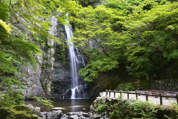 「滝道」を歩いた先にある「箕面大滝」（画像提供：Buuchi / PIXTA）