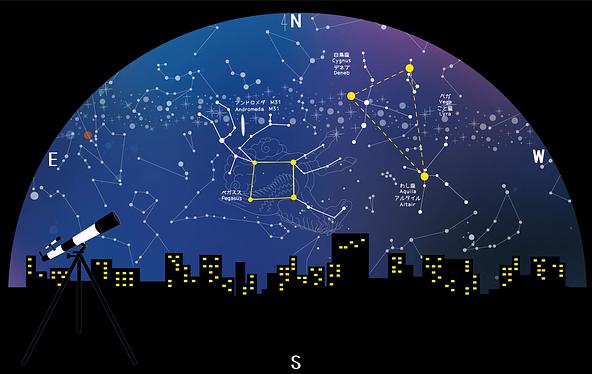 「秋の四辺形」と「夏の大三角」を一緒に探してみよう（画像提供：fumimicreative / PIXTA）