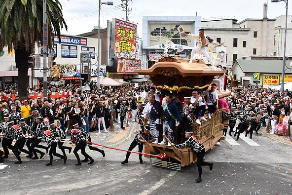 「岸和田だんじり祭」には毎年40万人もの人々が世界中から観覧に訪れます（画像提供：岸和田市）