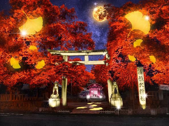 秩父神社ライトアップ　※イメージ図