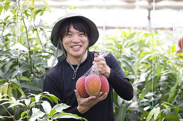 山梨県韮崎市のフルーツ農園の風景
