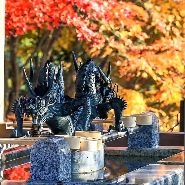 紅葉に囲まれた手水舎では、迫力ある龍がお出迎え（画像提供：一般社団法人 茨城県観光物産協会）