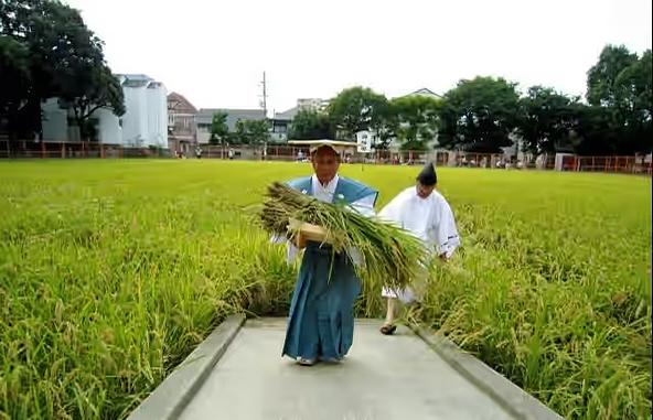 日本最古の「市」であり商都大阪の起源です