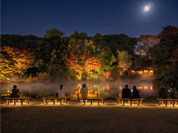 「水月池」夜の風景