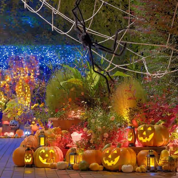 ハロウィンらしい怪しげな雰囲気に包まれた、普段は見られない夜のガーデン散策を楽しめます