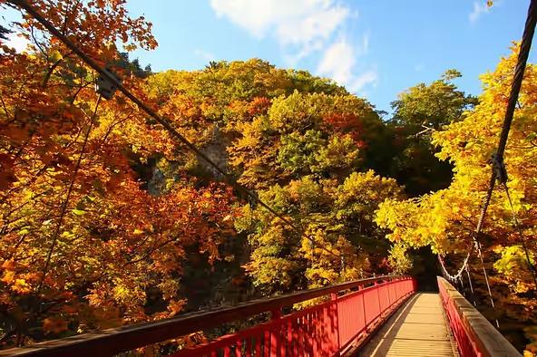 「二見吊橋」からは、伊勢の二見ケ浦に由来する二見岩やかっぱ淵が望めます