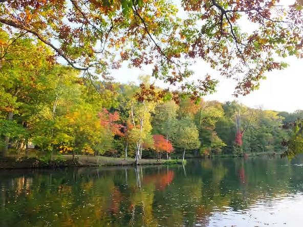 鳥沼公園の紅葉（画像提供：いこーよユーザー）