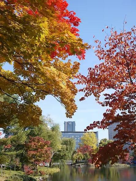 水面に映る逆さ紅葉もおすすめ