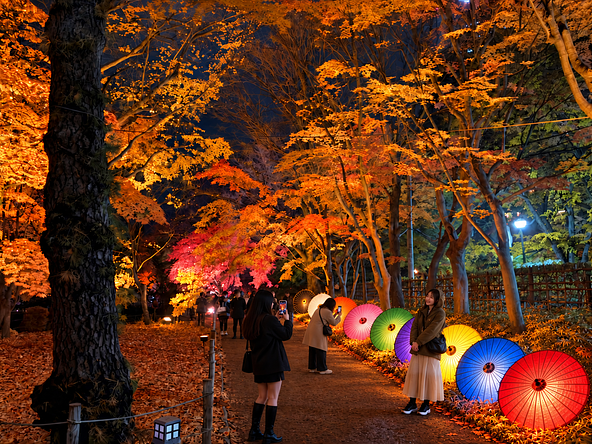 光の演出が楽しめる日本庭園