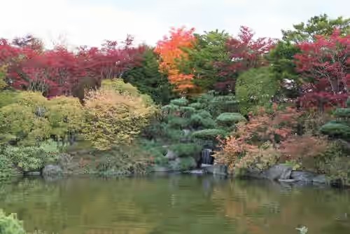 日本庭園近くの紅葉