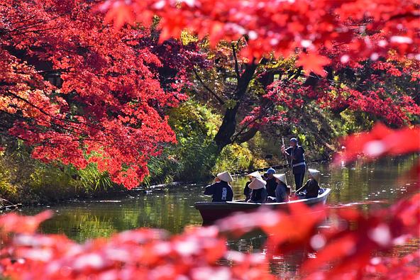観光舟と紅葉