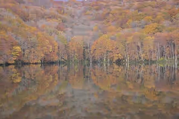 紅葉が水面に映る蔦沼（画像提供：十和田奥入瀬観光機構）