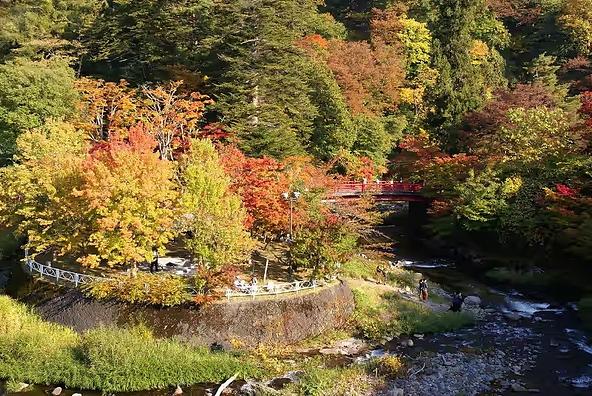 美しい景観が楽しめる紅葉の名所