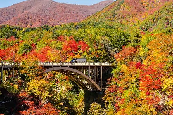 紅葉と美しいアーチが印象的な「大深沢橋」