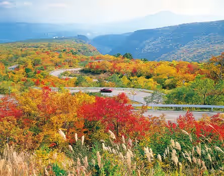 紅葉が彩る蔵王エコーライン（画像提供：宮城県観光戦略課）