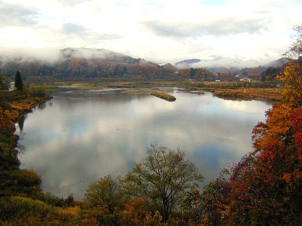 湖面に映る白川湖の紅葉