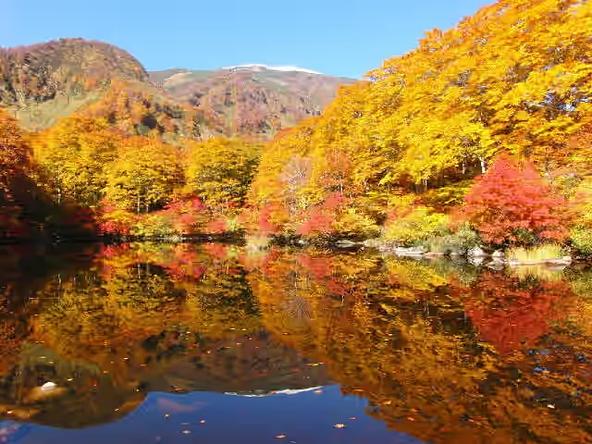 紅葉に囲まれた鶴間池