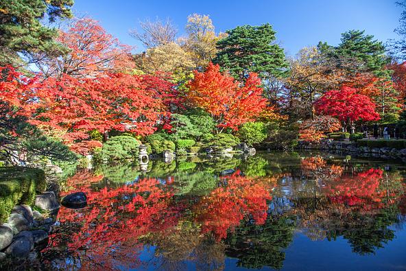 見頃を迎えた紅葉（画像提供： マサトシ / PIXTA）