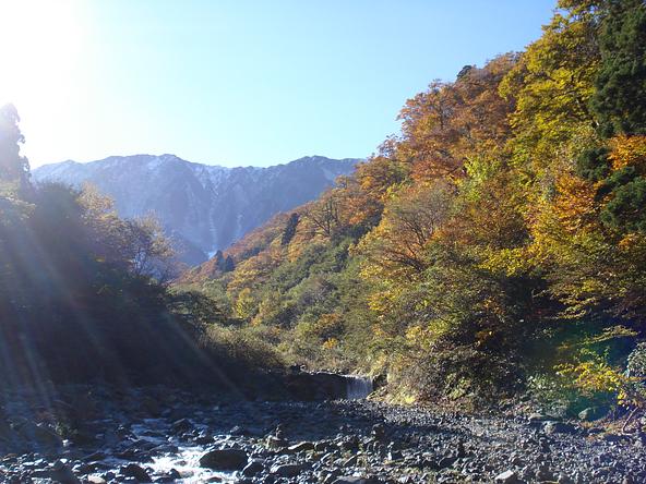 画像提供：大山観光局