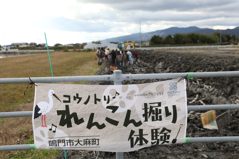 【11月23日開催】宿泊も日帰りもOK！鳴門レンコン掘り体験＆温泉で秋限定の特別な休日を