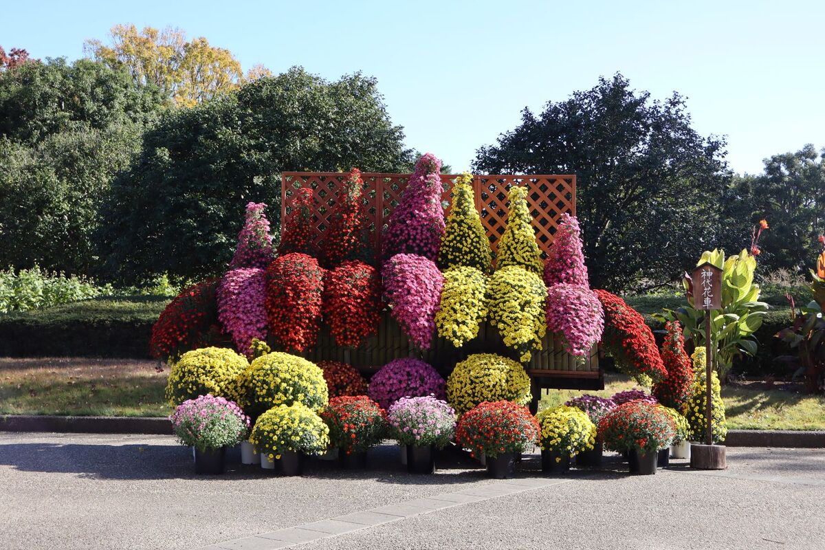 第65回神代植物公園菊花大会（2025年） | 調布・神代植物公園で60年