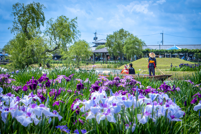 水郷佐原あやめパーク