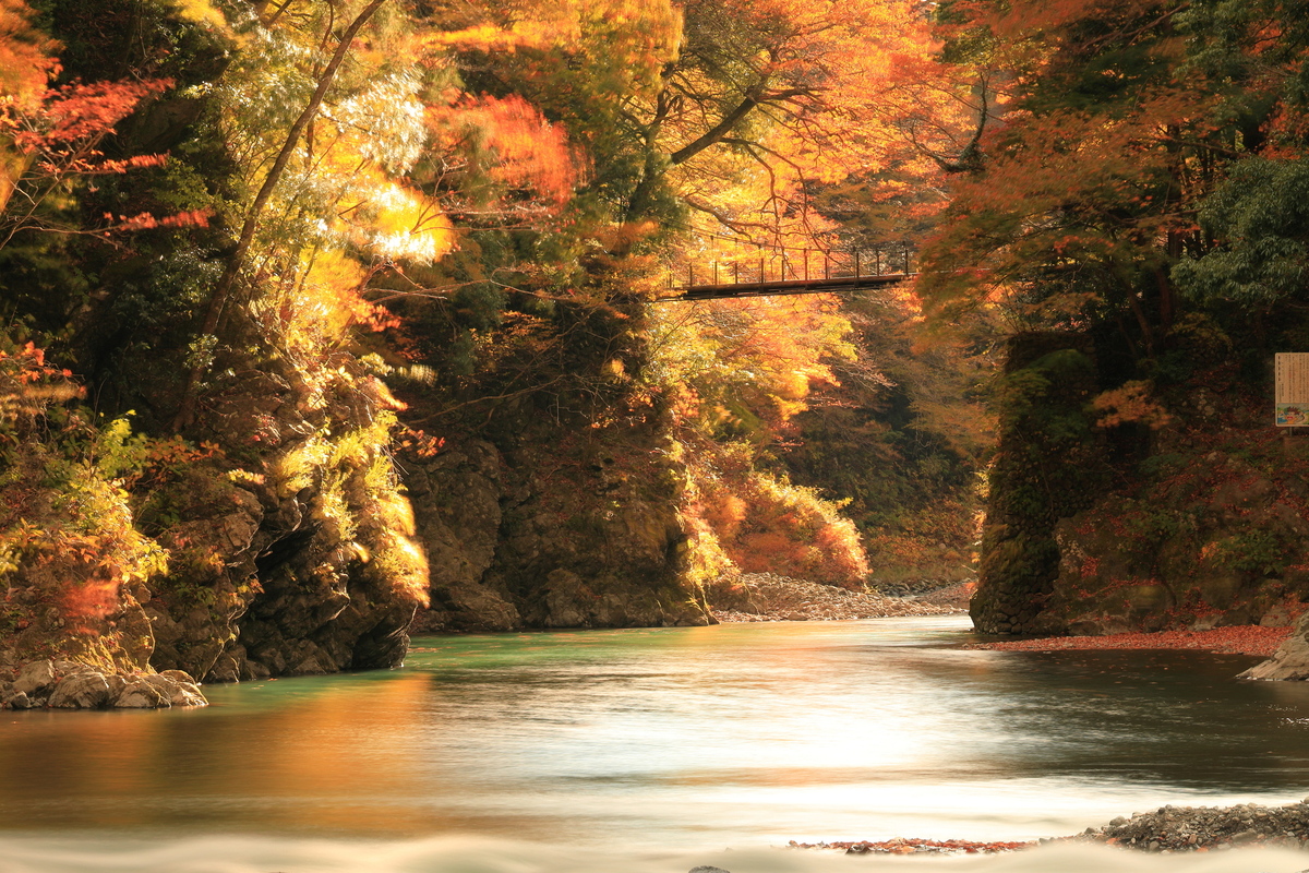 山谷和懸索橋