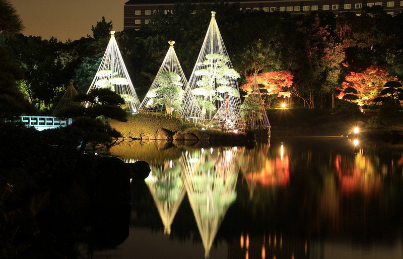 千葉・幕張の日本庭園で紅葉ライトアップ！　音楽会や茶道体験も楽しめる夜間イベント