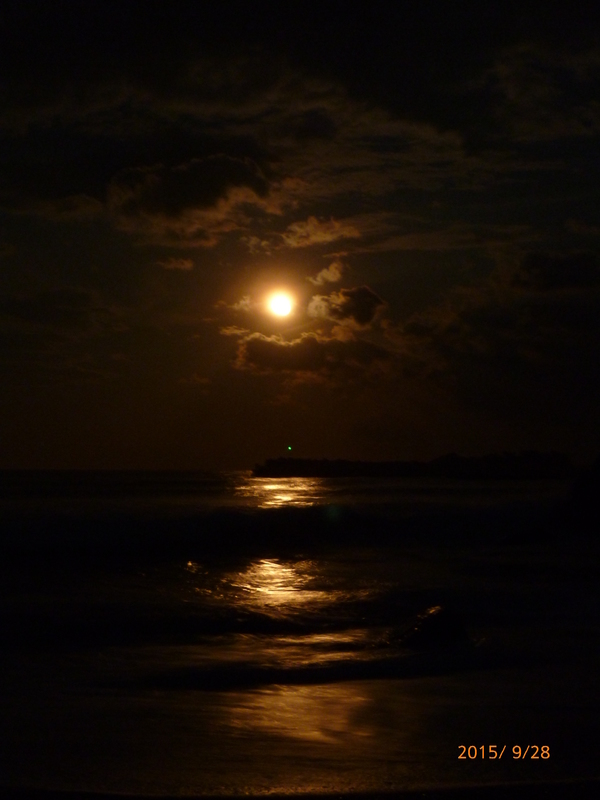 世界最大級のお月見会が青森県八戸市で開催！詩人も愛した美しい月を鑑賞