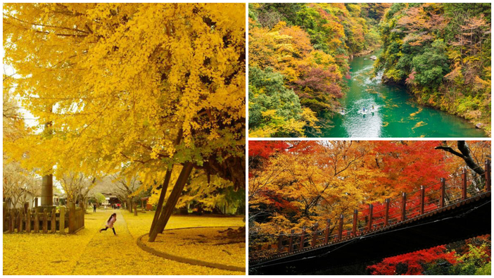 【2025】関東の紅葉名所20選！見頃やライトアップなどのイベントも紹介