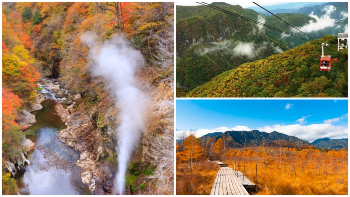 【2025】栃木県の紅葉名所と穴場22選！奥日光・鬼怒川・佐野市の見頃も