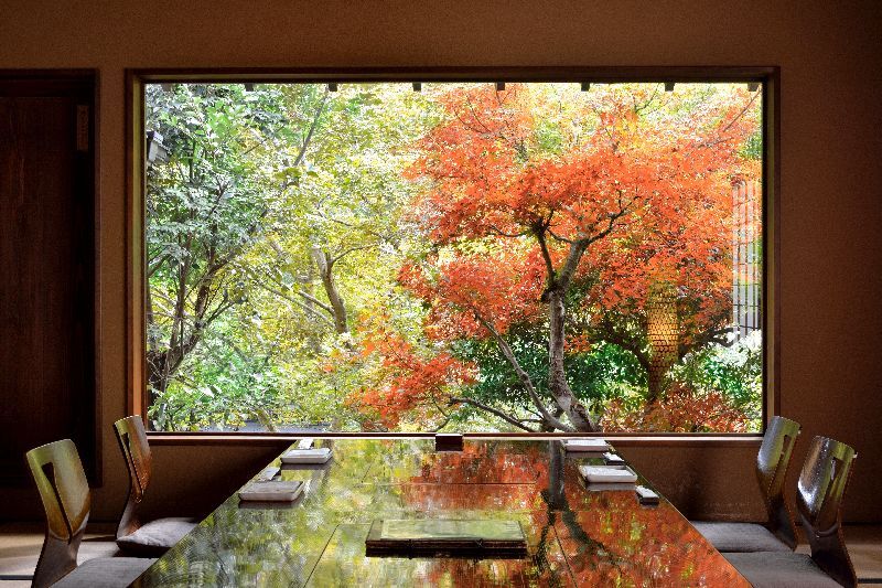 【2025最新】秋川渓谷で秋にやりたい10のこと｜人気の日帰り温泉＆紅葉の穴場