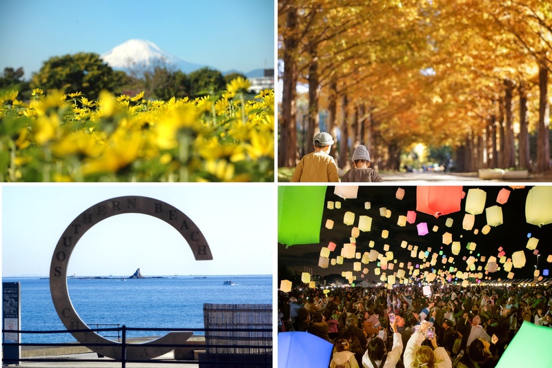 【2025神奈川】11月のおでかけに！おすすめ観光地・穴場9選　花や紅葉の絶景＆イベント多数