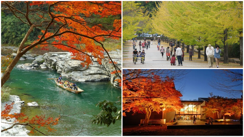 【2025】埼玉県の日帰り紅葉名所と穴場15選！ライトアップ情報＆見頃も