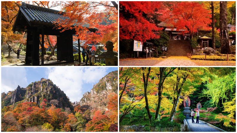 【2025】九州地方の紅葉名所と穴場10選！見頃やライトアップなどのイベントも紹介