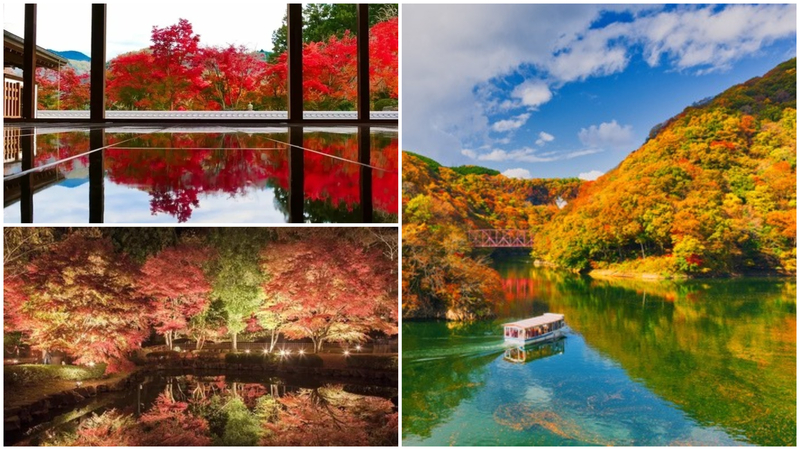 【2025】全国の「逆さ紅葉」の絶景が楽しめるスポット10選！湖面や床に映る幻想的な光景をご紹介