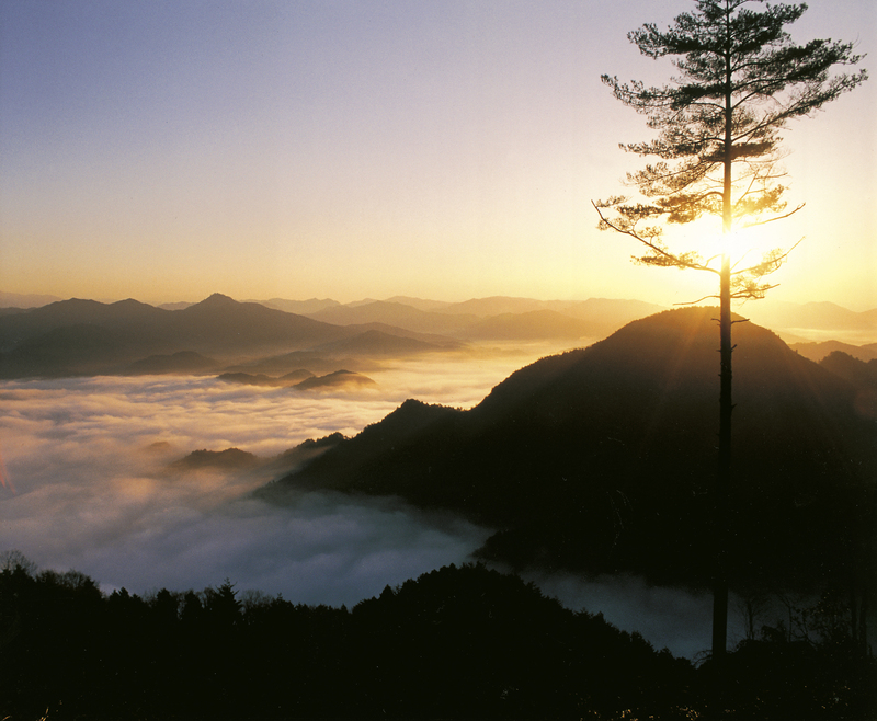 【岐阜・七宗町】初心者も家族も楽しめる！<br/>納古山ハイキングで360度絶景パノラマを満喫