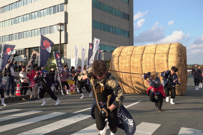 玉名市の秋の一大イベント「第29回玉名大俵まつり」俵ころがしレースなど見どころ＆2025年開催情報