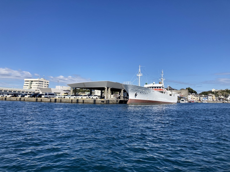 まぐろの街で秋の味覚祭り「三崎港町まつり」2025年開催！抽選会・渡船クルーズも楽しめる港の祭典