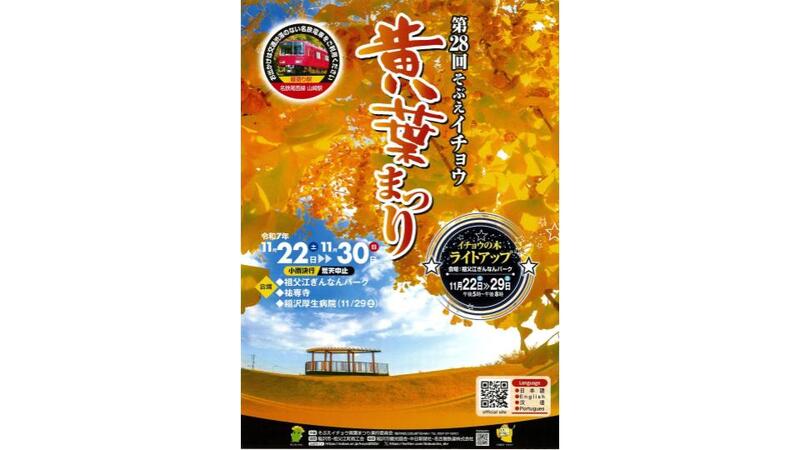 愛知・稲沢市で黄金色の絶景！11,000本のイチョウが彩る「そぶえイチョウ黄葉まつり」