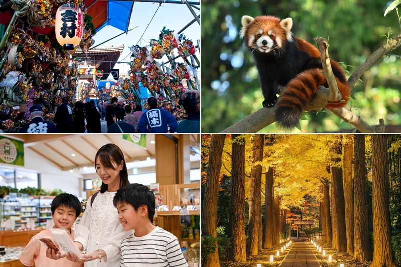 【2025関東】12月のおすすめ観光地＆穴場18選　日帰りOK！冬の絶景＆伝統行事も