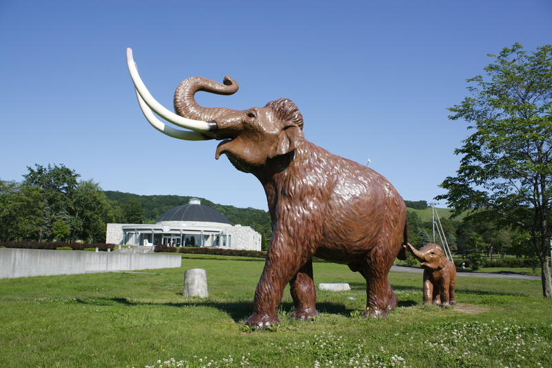 パークゴルフ発祥の地・北海道幕別町｜ナウマン象の化石や十勝の特産品も楽しめるまち