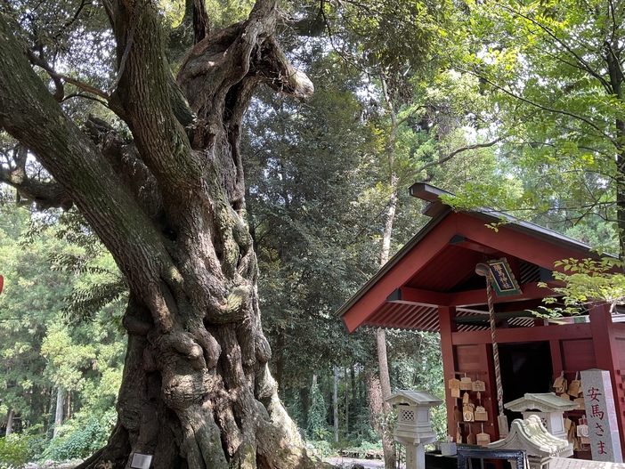 大杉神社境内社「勝馬神社」 初詣（2026）